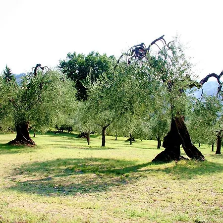 Villa La Fontana